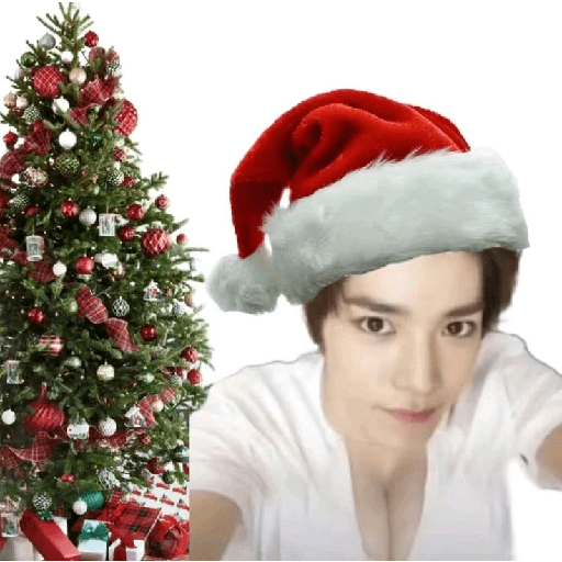 Natal com Bts 11