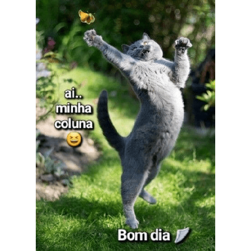 Figurinhas tudo misturadas 4