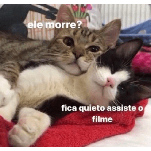 Figurinhas tudo misturadas 10