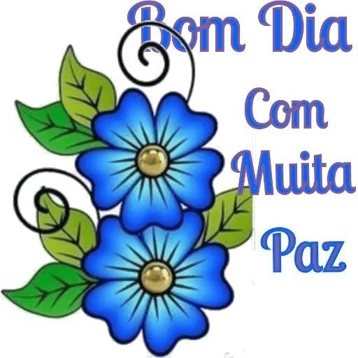 Bom dia boa tarde boa noite  2