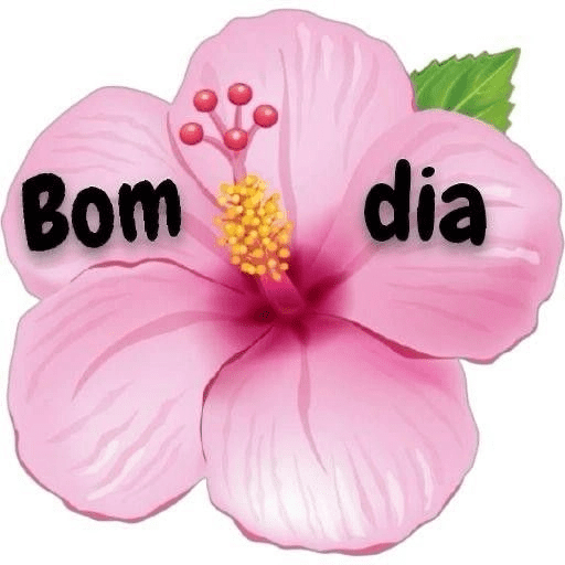 Bom dia boa tarde boa noite  4