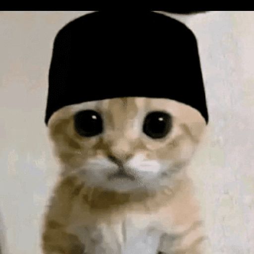 Tiktok 5
