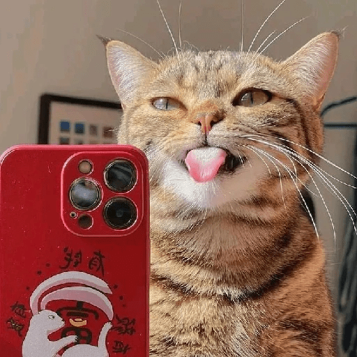 Tiktok 12