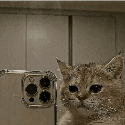 Tiktok 19