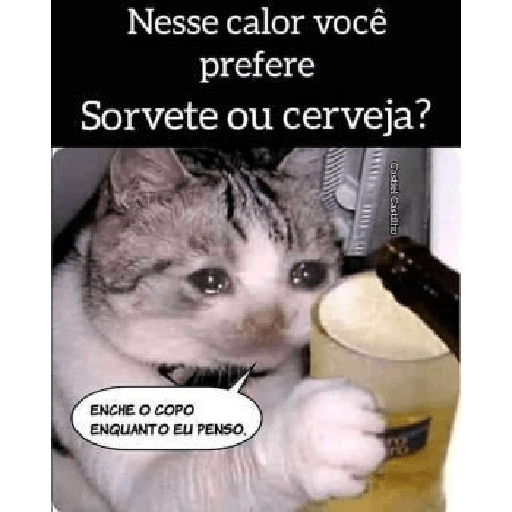 Que calor é esse 14