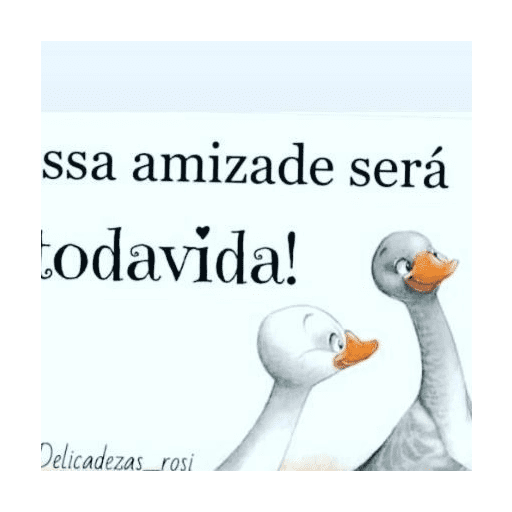 Amizade 11