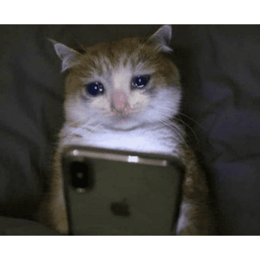 Sumore 12