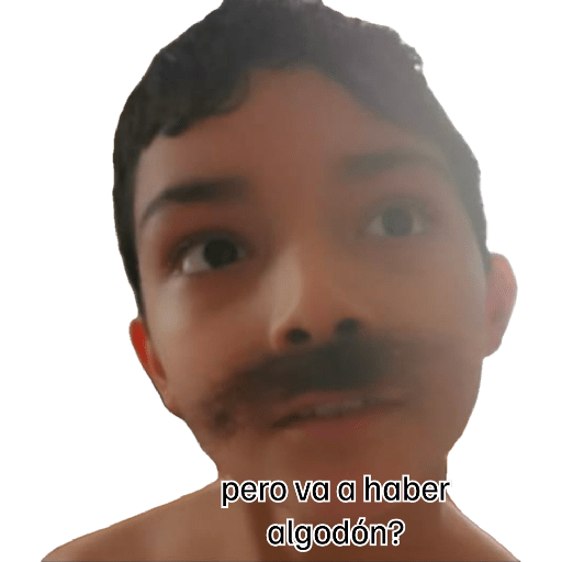 Calo 11