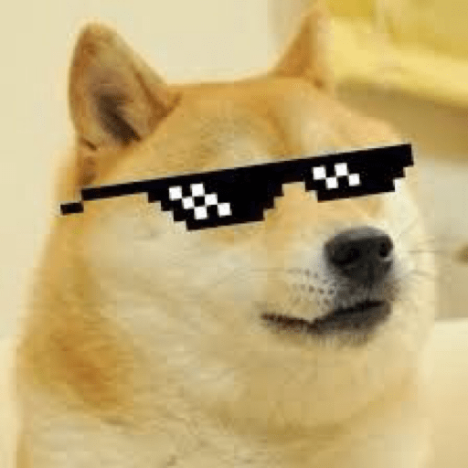 Perros graciosos 😎👌🏻 2