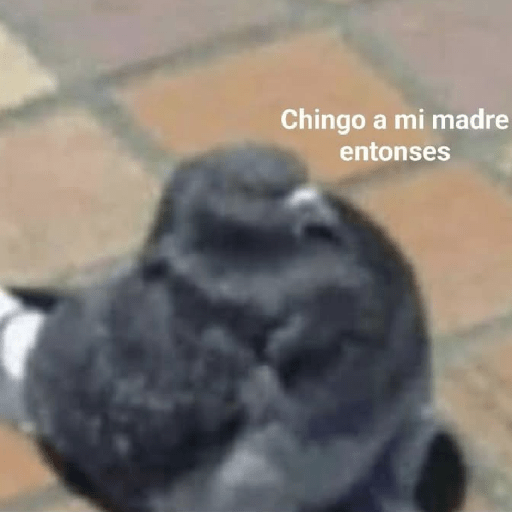 Manguito 10