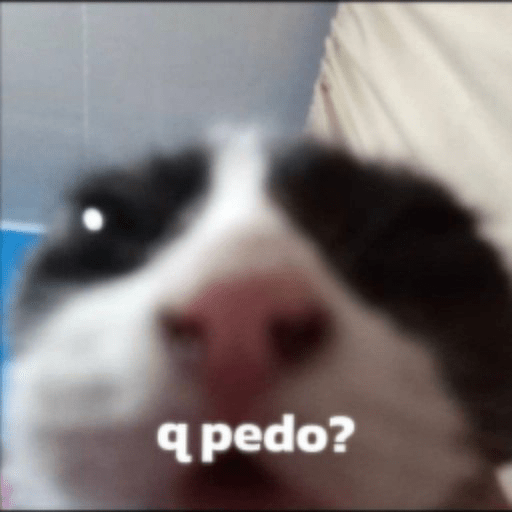 El Qué Lo Robe es Gay  19