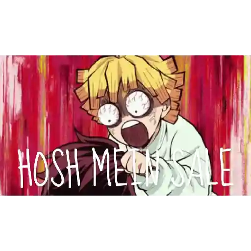DEMON SLAYER HINDI 18