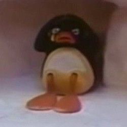 Pingu 4