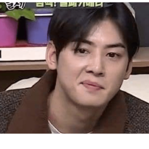 Cha Eun-Woo 11