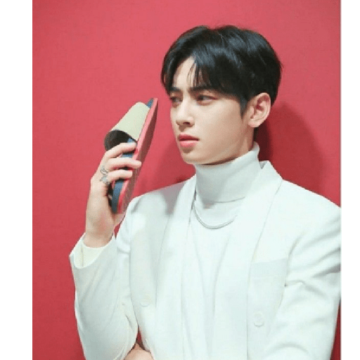 Cha Eun-Woo 25