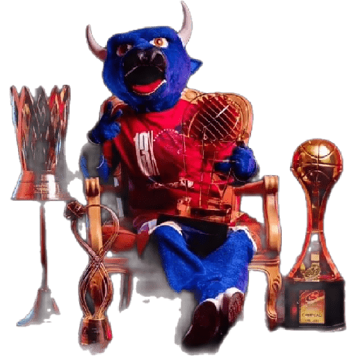 Basquete 10