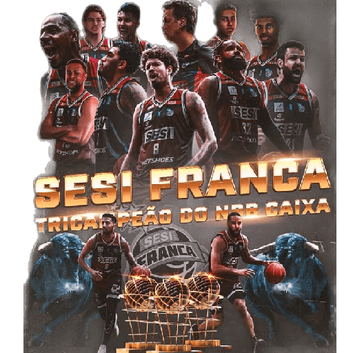 Basquete 16