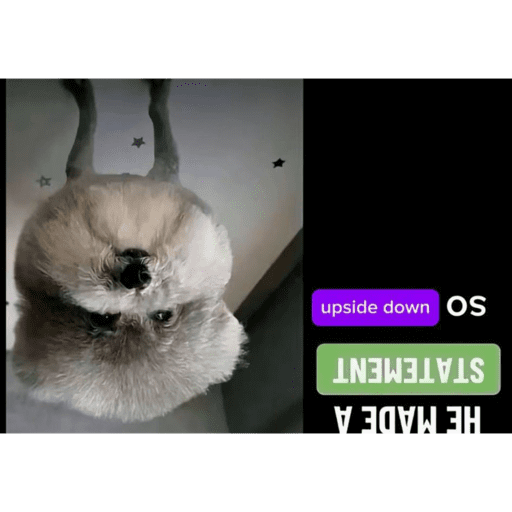 Hehe 9
