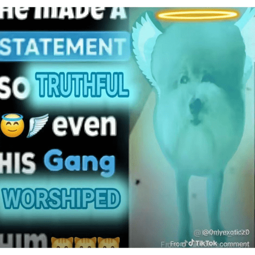Hehe 4