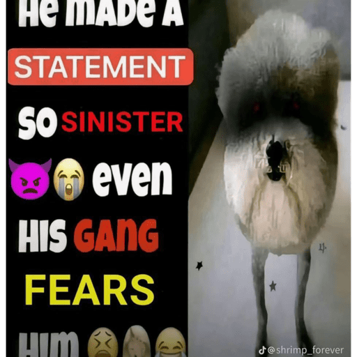 Hehe 10