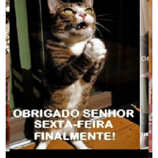 Memes aleatórios 4