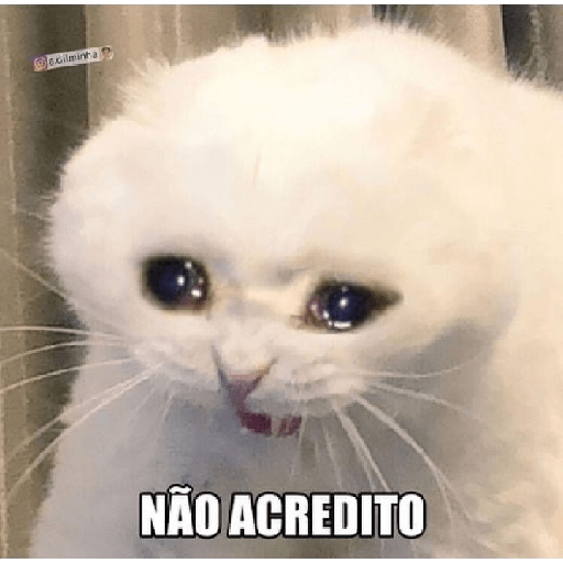 Memes aleatórios 7