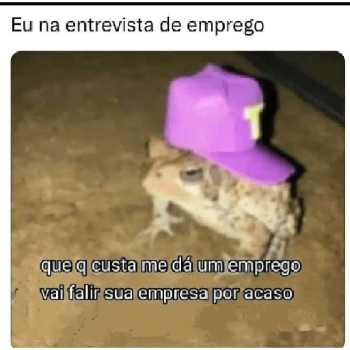 Memes aleatórios 8