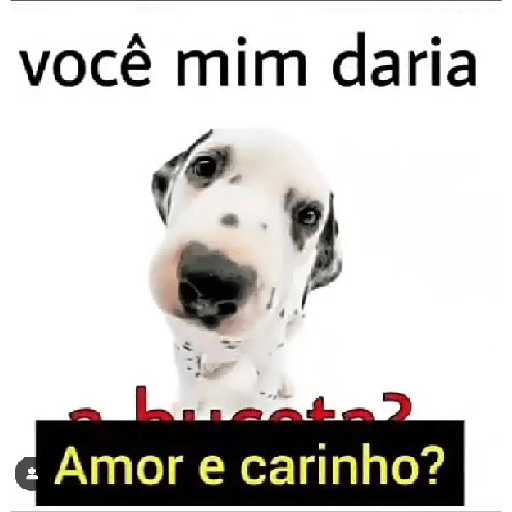 Memes aleatórios 10