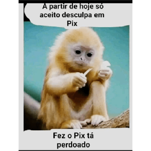 Memes aleatórios 11