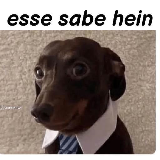 Memes aleatórios 14