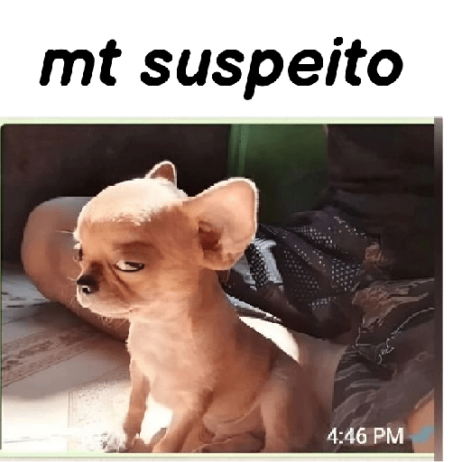 Memes aleatórios 17