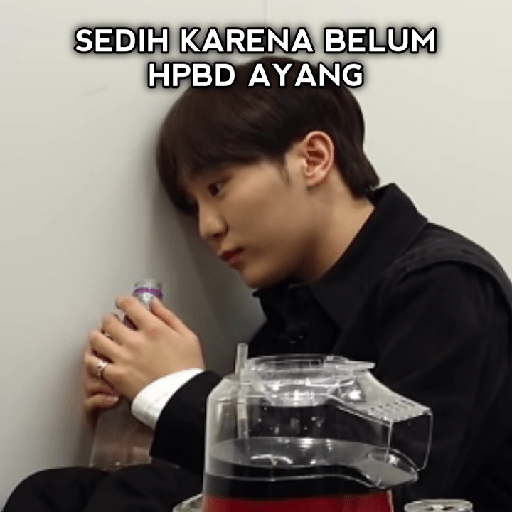 Seungkwan Meme