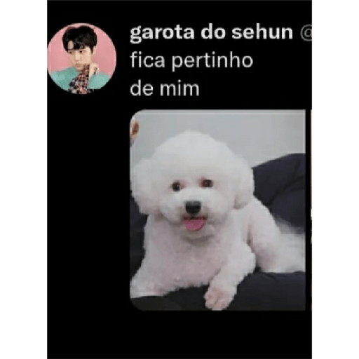 Fica pertinho de mim