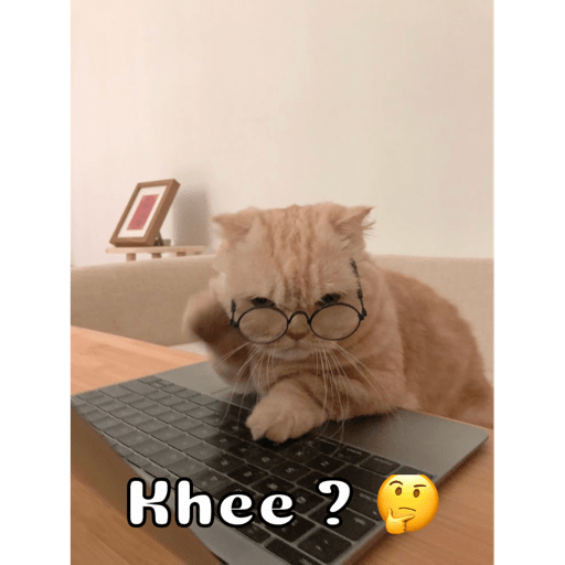 Gatitos 11