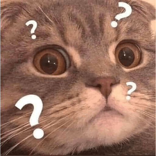 Gatitos 15