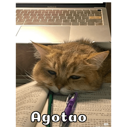 Gatitos 4