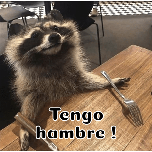 Gatitos 29