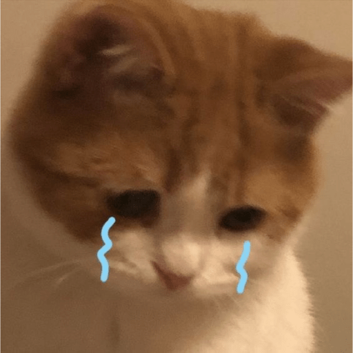 Gatitos 14