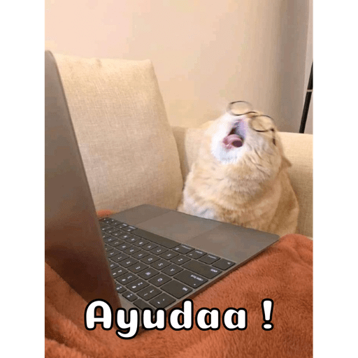 Gatitos 6