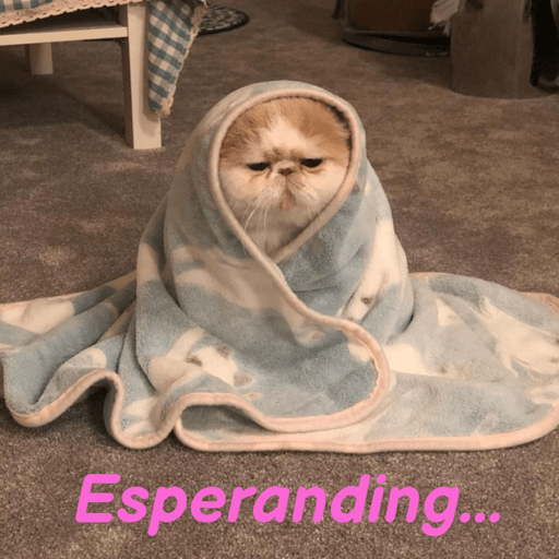 Gatitos 1