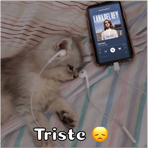 Gatitos 8