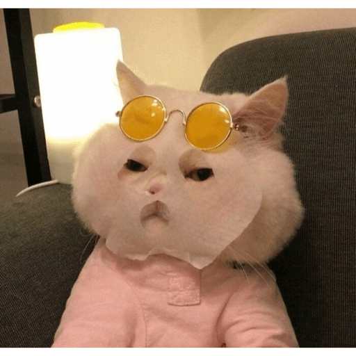 Gatitos 7
