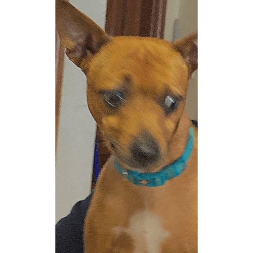 Reações  27