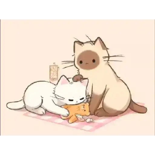 Cute✨✨🫶🏻 2