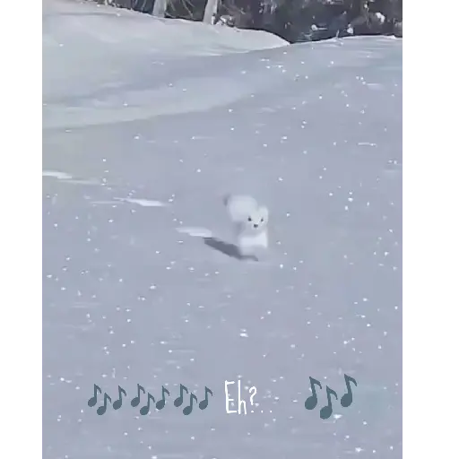 Cute✨✨🫶🏻 13