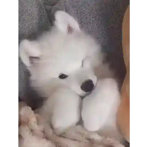 Cute✨✨🫶🏻 7