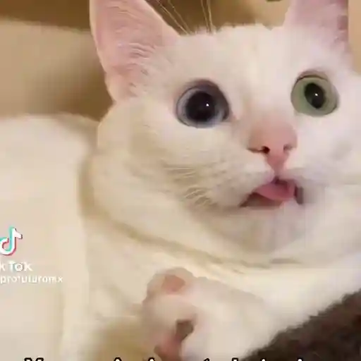 Cute✨✨🫶🏻 8