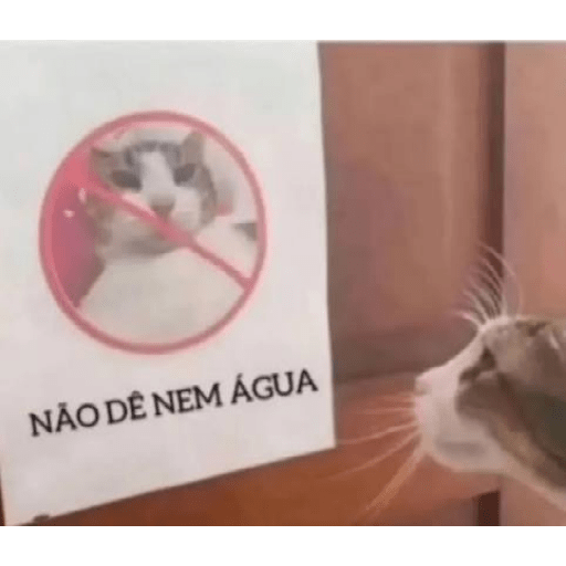 Alexa amoleça meu pinto 20