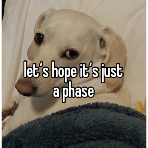 Twitter memes 6