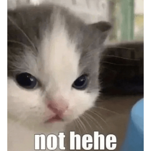 Twitter memes 14